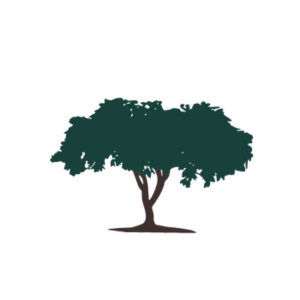 diseño sin título 3